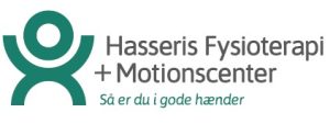 logo Hasfys